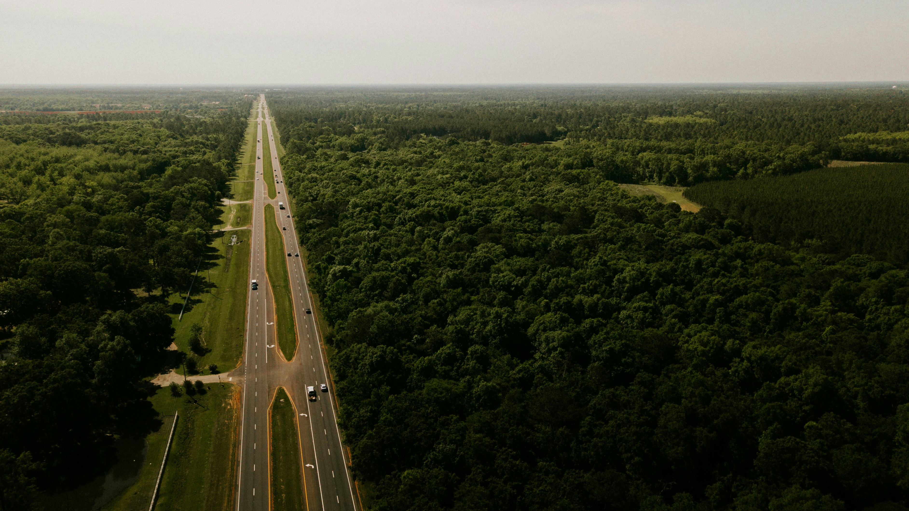 gray road on the middle of trees